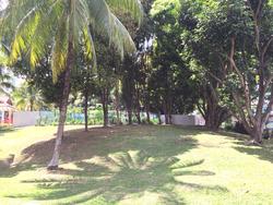 Blk 235 Bukit Panjang Ring Road (Bukit Panjang), HDB 5 Rooms #73494062
